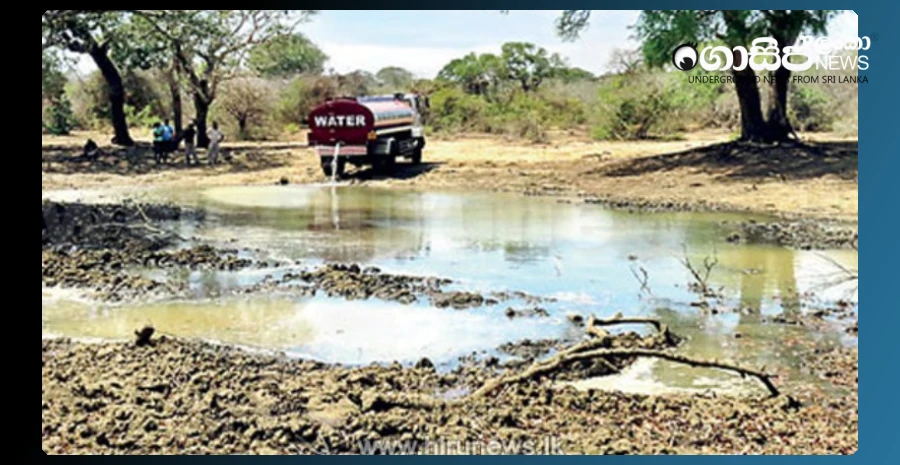 there-is-a-risk-of-closure-of-forest-parks-due-to-dry-weather
