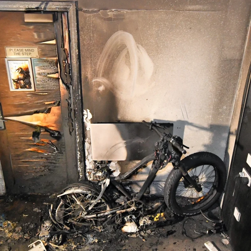 mother-and-three-children-die-in-e-scooter-fire