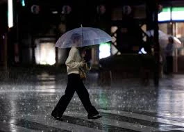 tokyo-records-record-35-days-of-continuous-rain