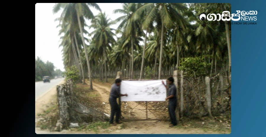 ban-on-basils-matara-coconut-land