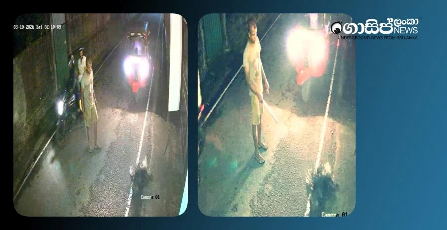 cctv-investigation-underway-to-find-group-that-killed-and-took-a-tortoise-away-on-a-narrow-road-in-pelawatte cctv-investigation-underway-to-find-group-that-killed-and-took-a-tortoise-away-on-a-narrow-road-in-pelawatte