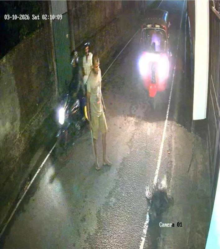 cctv-investigation-underway-to-find-group-that-killed-and-took-a-tortoise-away-on-a-narrow-road-in-pelawatte