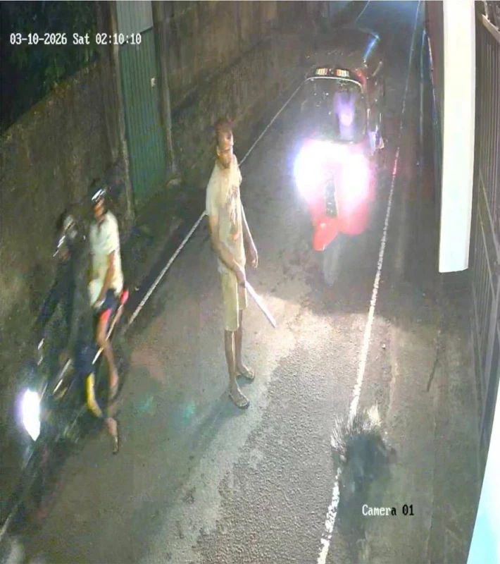 cctv-investigation-underway-to-find-group-that-killed-and-took-a-tortoise-away-on-a-narrow-road-in-pelawatte
