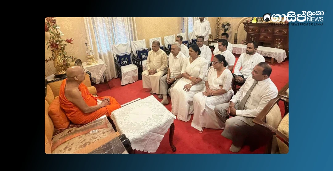 how-sjb-mps-met-the-malwatta-nayaka-thero-and-listened-to-him-well-video