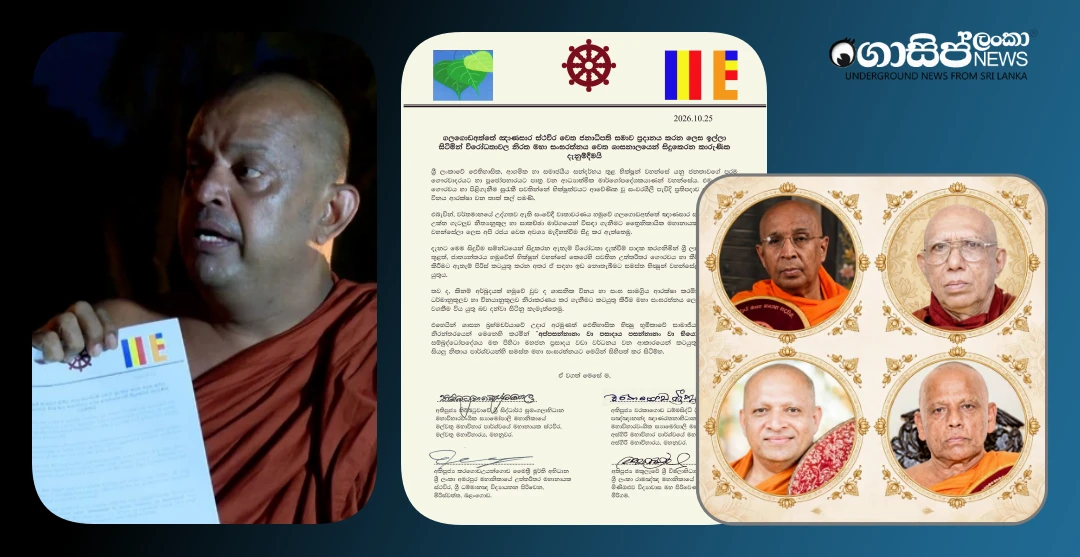 the-mahanayake-theros-letter-is-not-about-advancing-the-struggle-but-about-scolding the-mahanayake-theros-letter-is-not-about-advancing-the-struggle-but-about-scolding