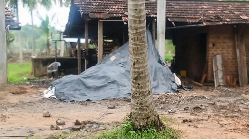 villagers-in-kobeigane-area-arrested-a-thief-tied-him-to-a-tree-and-then-brought-him-to-the-police-station-where-he-died