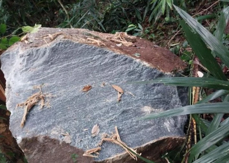 news-2025-12-20-123743