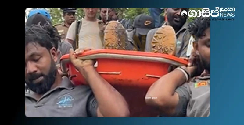 a-foreign-woman-who-was-watching-the-ella-little-sripada-falls-down-a-100-foot-cliff