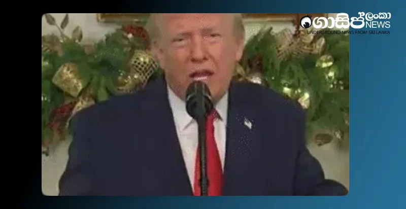 trumps-controversial-call-from-the-white-house-11-months-into-his-term