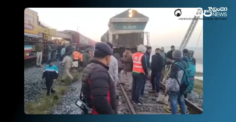 assam-train-kills-elephants